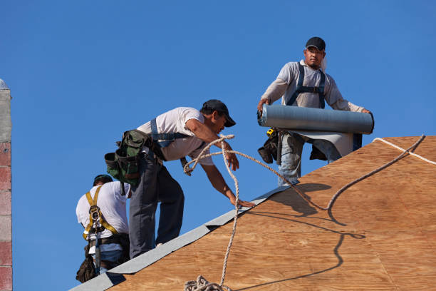 Best Roof Gutter Cleaning  in Norwalk, CT